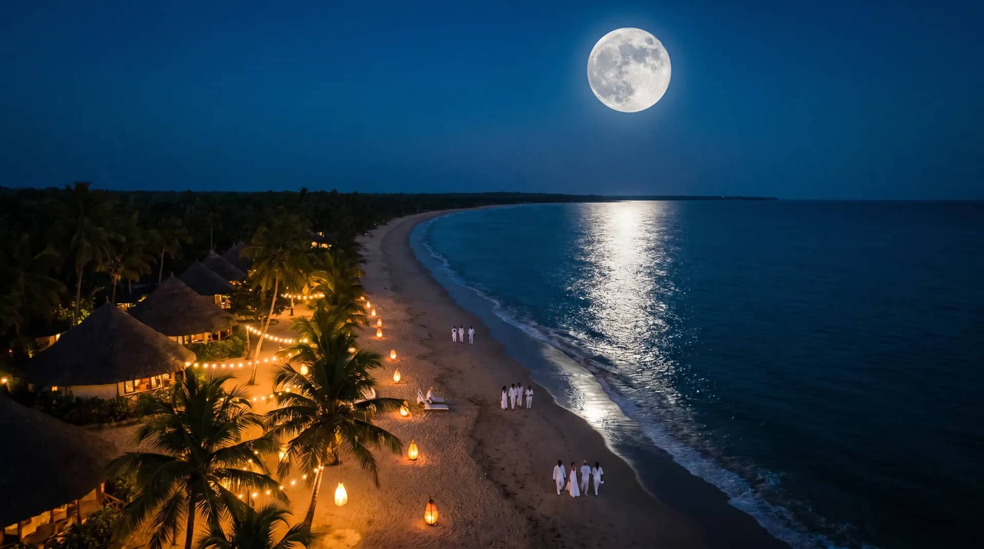 Vue aérienne de la plage de Cap Skirring bordée de cocotiers à la lumière dorée